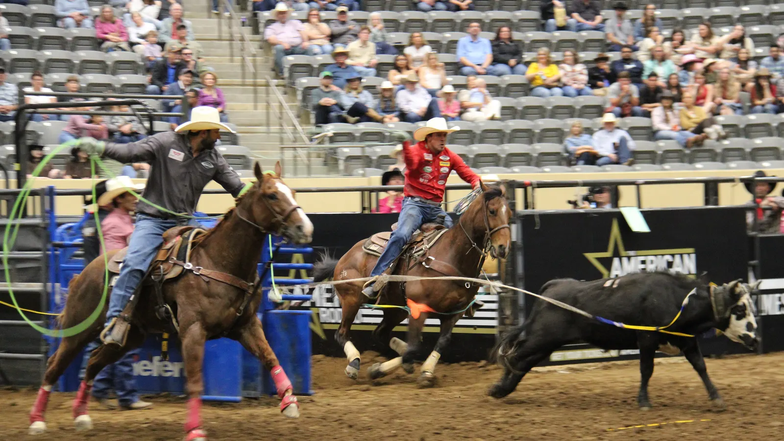 Deux cavaliers lassent un veau lors d'une épreuve de team roping dans une arène couverte